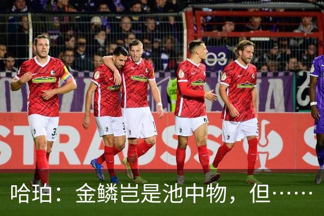 哈珀：金鳞岂是池中物，但……