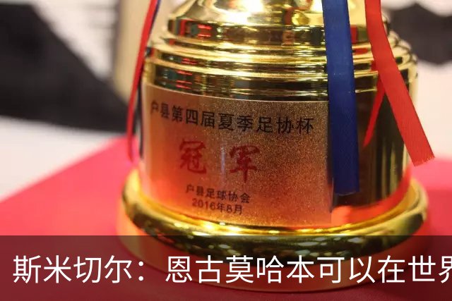 斯米切尔：恩古莫哈本可以在世界杯改变局势，但他能参加下一届